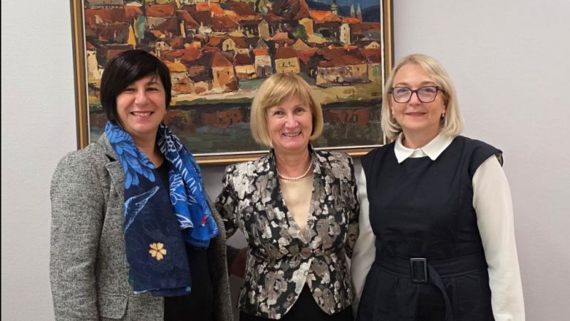 Međunarodna međuinstitucionalna suradnja